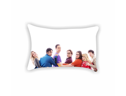 Подушка Теория большого взрыва, The Big Bang Theory №20