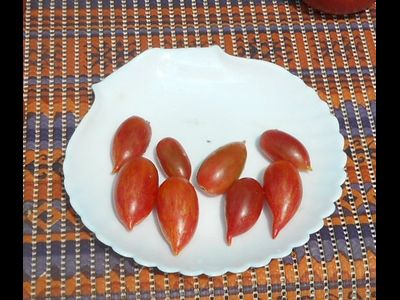 Томат Конфета сладкая сосулька (Candy Sweet Icicle)