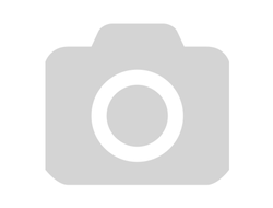 Литопсы (микс) - 15 семян