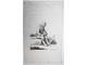 Гравюра. A. Blomart, del. Georg Leop Hertel, exe: A:V: 18 век.
