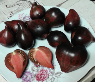 Семена томата Мятежный звездный истребитель  основной с носиком