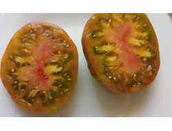 Томат Мятные полосы (Dwarf Peppermint Stripes)