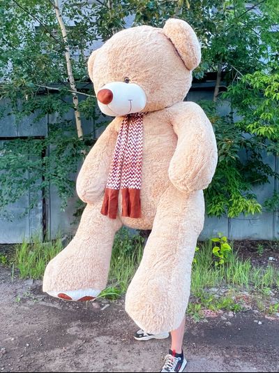 Гигантский плюшевый медведь 280 см кремовый Михель