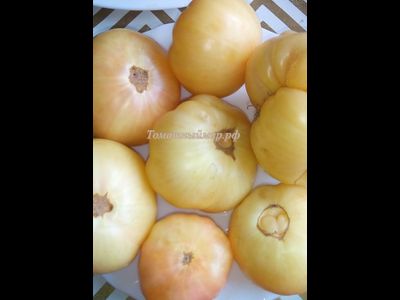 Томат  Большой пломбир