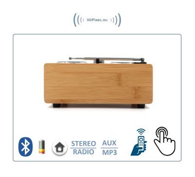 Bluetooth колонка СТЕРЕО, радио FM, с аккумулятором + пульт, для использования в помещении