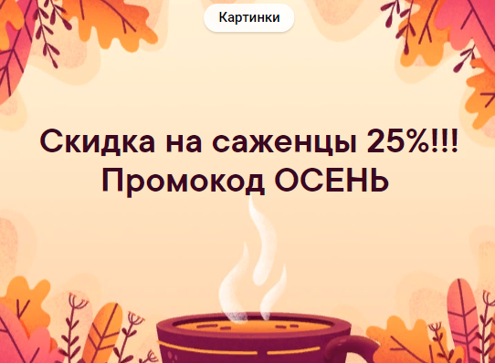 Скидка на саженцы. Промокод ОСЕНЬ. ЛПХ Хозяйство Салминых