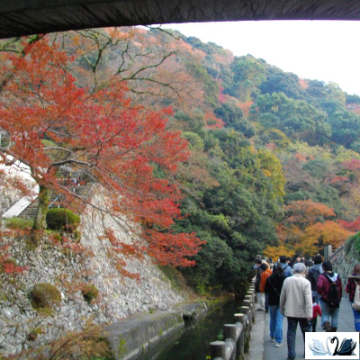 Керамогранит Belani Tokao светло-бежевый 60х60 cм матовый Береза керамика