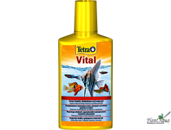 Витамины для рыб