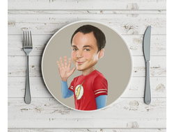 Тарелка Теория большого взрыва, The Big Bang Theory №16