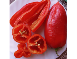 Перец сладкий Анастасия