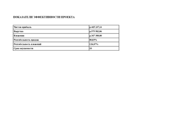 Профессиональный расчет финансового план для бизнес-плана под выплату от  ЦЗН
