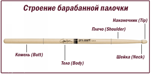 строение барабанной палочки