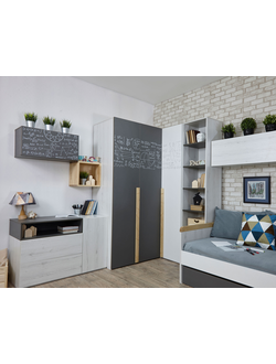 НЬЮ ТОН ГРЭЙ (38 Попугаев)