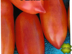 Томат "Сосулька розовая" (высокорослый, неприхотлив)