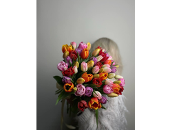Букет тюльпанов миксом 55шт