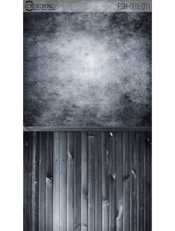 Фотофон «Регор»