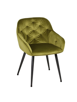 Кресло «Регент», WX-255 (оливковый)