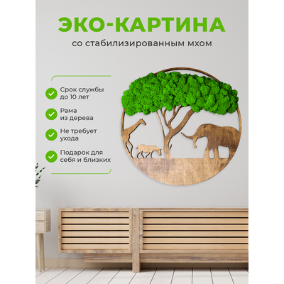 ЖИВАЯ ЭКО-КАРТИНА 1009