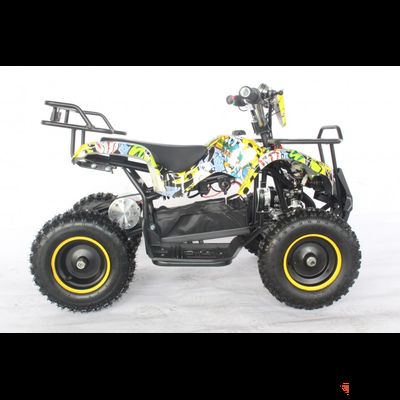 Квадроцикл GreenCamel Гоби K21 (12 Ah 36V 800W R6 Цепь) Граффити