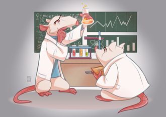 Лабораторные крысы