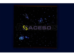 Напольный ковер "Звездное небо" без п/у 1500х1000 75 точек RG 215