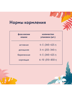 Florida (Флорида) влажный корм (пауч) для взрослых кошек, кусочки с кроликом и яблоком в желе 85 г