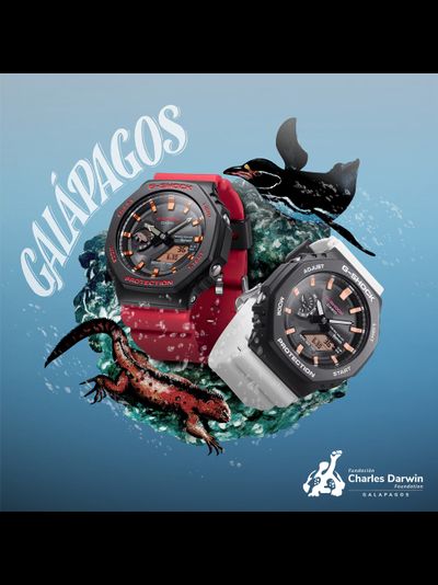 Часы Casio G-Shock GA-B2100CD-1A4