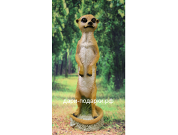 МАНГУСТ 35*13см полистоун Россия  1018//012574