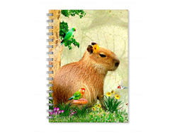 Тетрадь Капибара, Kapibara-san №20