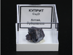 Куприт, в пластиковом боксе, Россия, Алтай №22288