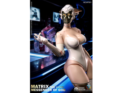 ПРЕДЗАКАЗ - Белый андроид - Коллекционная фигурка 1/6 SCALE MATRIX THE MESSENGER OF GOD PROTOTYPE BATTLE ANGEL (MT001) - COOMODEL X CTCOSTUDIO ?ЦЕНА: 13500 РУБ.?