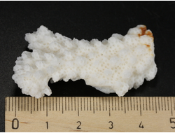 Коралл белый, коллекционный образец, Китай (48*24*15 мм, 11 г) №37696