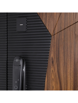 Стальная дверь   Сапсан с зеркалом (биометрический замок Smart lock DZ 888)