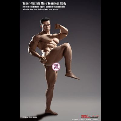 Супер-подвижное бесшовное мускулистое мужское тело PL2018-M35  1/6 Super flexible Male Seamless Body - PHICEN
