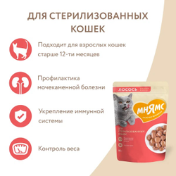 Мнямс влажный корм (пауч) для стерилизованных кошек, кусочки в соусе с лососем 85 г