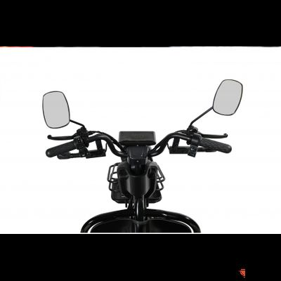 Пассажирский трицикл WHITE SIBERIA SIBTRIKE R 2000W