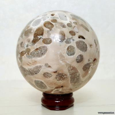 Окаменелое дерево со следами древоточца, шар. Россия. Около 69мм.