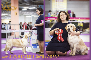 16 мес. Собираем победы на Юный Чемпион НКП