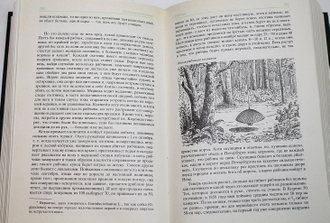 Сабанеев Л.П. Охотничьи птицы. Труды по охоте. М.: Физкультура и спорт. 1989г.