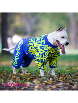 Комбинезон для больших собак Алфавит син/желт