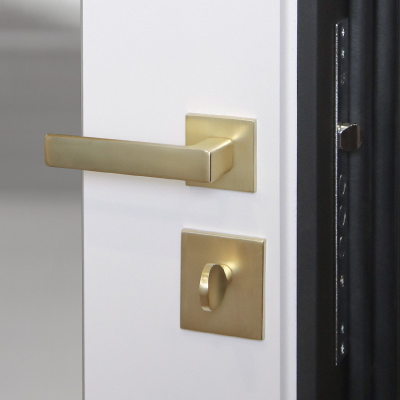 Стальная дверь   Сингапур с зеркалом. Заказная модель.