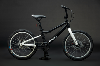 Велосипед TT231/ 1ск 20" черный рама 12"