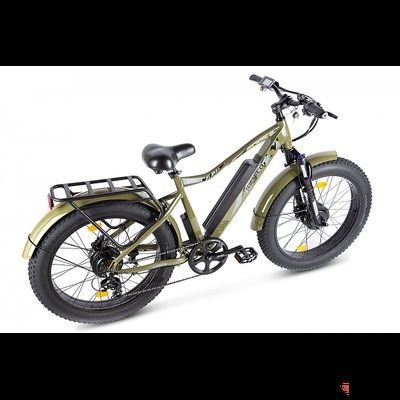 Электровелосипед VOLTECO BigCat Dual Next (Черный)