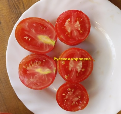 Томат Русская королева (Russian Queen)