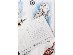 Набор почтовых открыток «Птицы заповедника «Бастак»          (12 шт.)