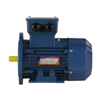 Электродвигатель 5АИ 63А4 (0,25 кВт) IM 2081