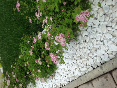 Крошка 5-10 натуральный декоративный камень