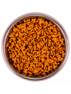 Monge Cat Senior (Монж) для пожилых кошек старше 7 лет, из курицы 1,5 кг