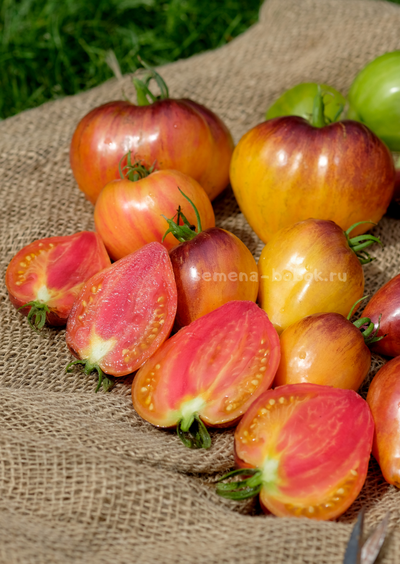 Томат Сладкая Карамель Софии, 10 шт