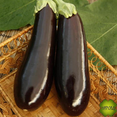 БАКЛАЖАН СОРТА В АССОРТИМЕНТЕ